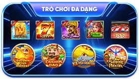 Trò chơi đa dạng
