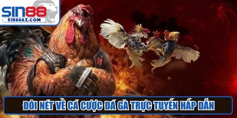 Đôi nét về cá cược đá gà trực tuyến hấp dẫn
