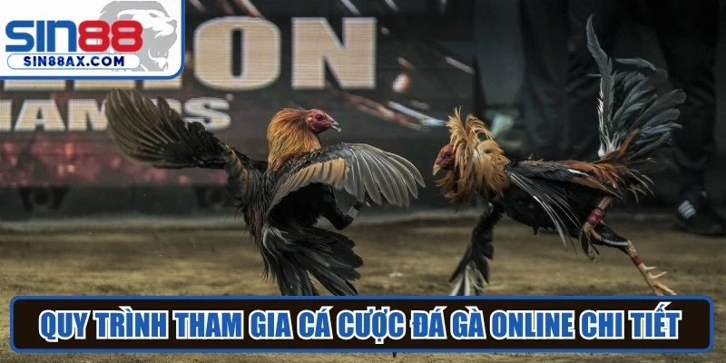 Quy trình tham gia cá cược đá gà online chi tiết hấp dẫn tại SIN88