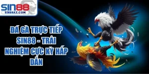 Đá Gà Trực Tiếp