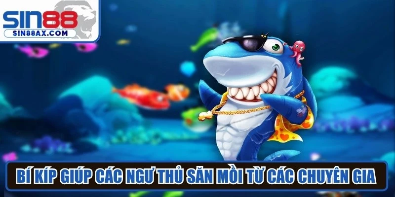 Bí kíp giúp các ngư thủ săn mồi từ các chuyên gia lâu năm