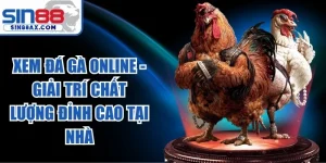 Xem Đá Gà Online