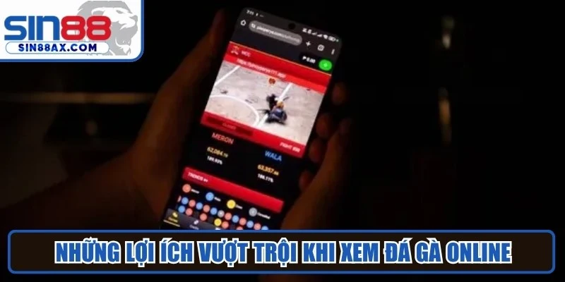 Những lợi ích vượt trội khi xem đá gà online